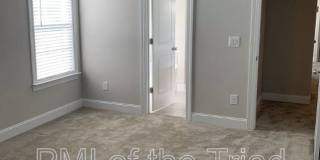 868 Silver Leaf Dr Gallery 16