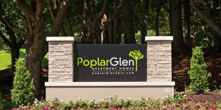 Poplar Glen Gallery 43