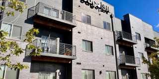 Edge 204 Gallery 49