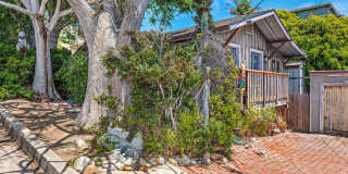 Ever dreamed of living under the sea?! Gallery 35