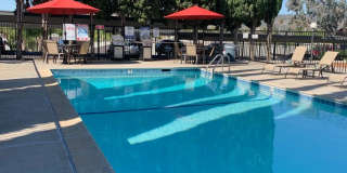 Garden View Gallery 46