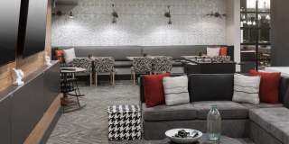 Emery West Highland Gallery 11