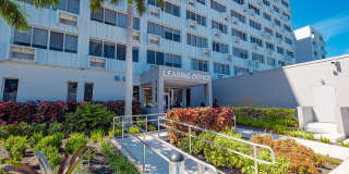 The Wayland Gallery 5