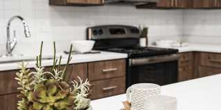 400 Element Gallery 40