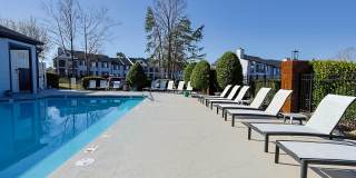 Madison at Adams Farm Gallery 20