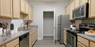 The Peabody Collection Gallery 23