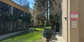 2379 Scholarship Gallery 15