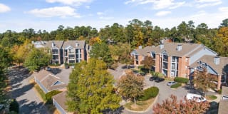 Cary Greens at Preston Gallery 53