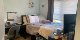 1609 Sydenham Gallery 45