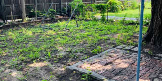 Nice Sized Yard ~ Cute House Gallery 10