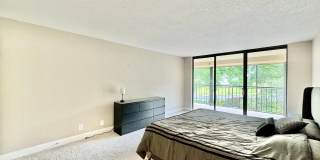 220 Belleview Blvd Apt 311 220 Belleview Blvd Apt 311 Gallery 27