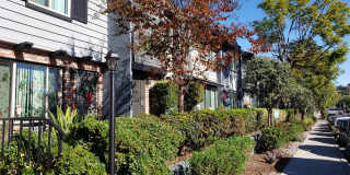 1/2 Off 1st Month's Rent!!Renovated La Mesa Village 2BR/2BA Condo Gallery 1