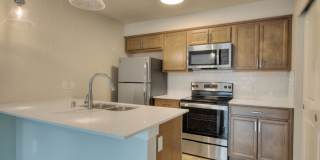 Alder Walk Gallery 16