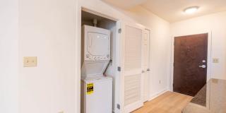 The Veridian Gallery 59