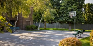 Crosspointe Gallery 29