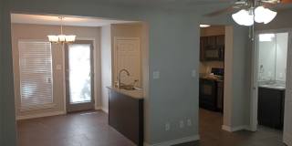 2004 Pecan Street Gallery 4