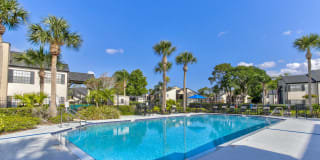 Cypress Run Gallery 2