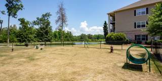 Lauren Ridge Gallery 19