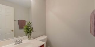 619 Cary Woods Circle Gallery 9