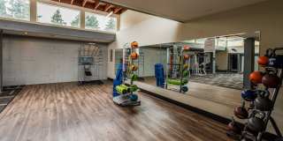 The Lucent Gallery 21