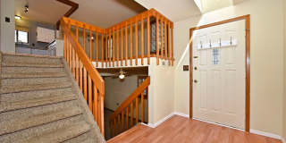 Huge yard with Pikes Peak Views! Gallery 15