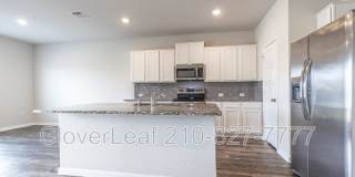 2126 Silver Maple Gallery 14