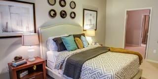 The Paxon Gallery 20