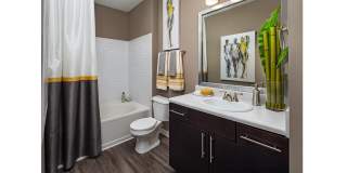 Windsor Johns Creek Gallery 25