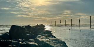 1620 Delphi Way Gallery 38