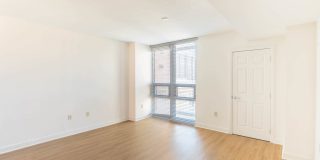 The Veridian Gallery 46