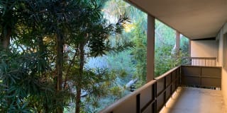 Annandale Terrace Gallery 24