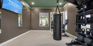 Tempo at Grand Park Gallery 34