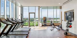 Northshore Gallery 11