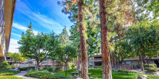 Saddleback Pines Gallery 4