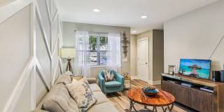 The Ashley Gallery 20