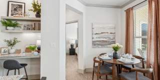 Paloma Luxury Apartments Gallery 5