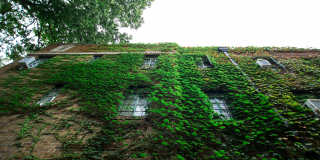 Traymore Gallery 7