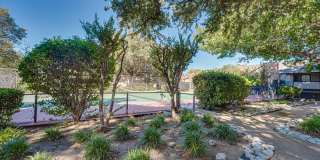 Southern Oaks Southern Oaks Gallery 47