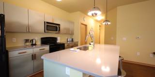 Settlement Place Gallery 197