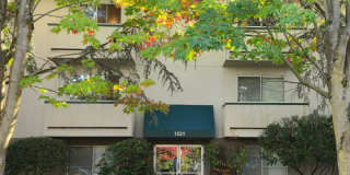 BAL-K Gallery 3