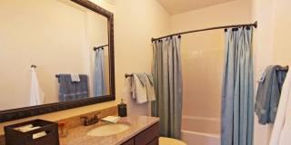 Briton Trace Apartments Gallery 29