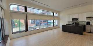 804 Chapel Street unit: 201 Gallery 4