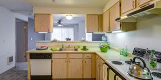 Vista Ridge Gallery 35