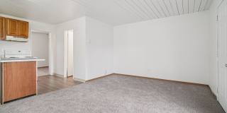 Brentwood Gallery 13