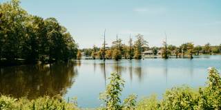 19 Del Tara Dr. Gallery 43