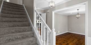 7942 Cotton Cross Cove Gallery 6