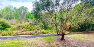 1182 PINE RIDGE Circle W Gallery 17