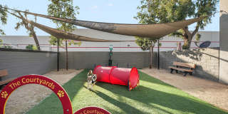 Tierra Palms Gallery 106