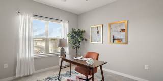 Solamar Wildwood Gallery 21