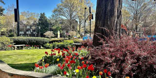 229 N Poplar Street Gallery 20